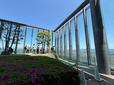 ハルカス300(展望台)に投稿された画像（2025/5/4）