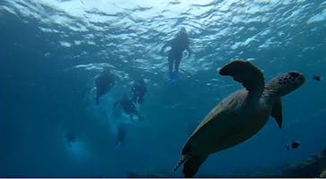 マーレ石垣島に投稿された画像（2025/5/4）