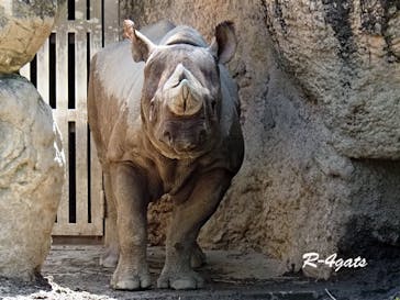 天王寺動物園に投稿された画像（2025/5/4）