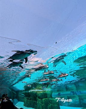 天王寺動物園に投稿された画像（2025/5/4）