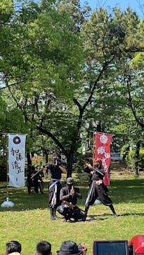 名古屋城に投稿された画像（2025/5/4）