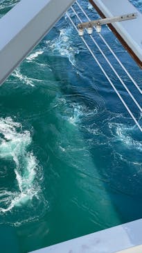 徳島県立 渦の道に投稿された画像（2025/5/4）