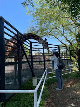 宇都宮動物園に投稿された画像（2025/5/4）