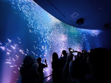 名古屋港水族館に投稿された画像（2025/5/4）