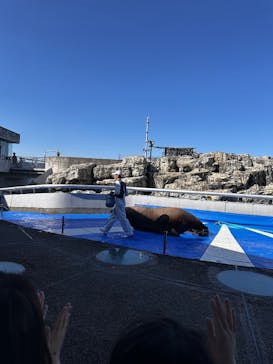 大分マリーンパレス水族館 「うみたまご」に投稿された画像（2025/5/4）