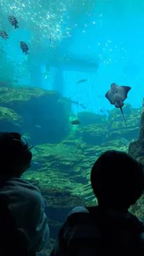 仙台うみの杜水族館に投稿された画像（2025/5/4）