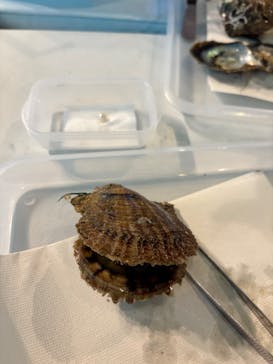 しながわ水族館に投稿された画像（2025/5/4）