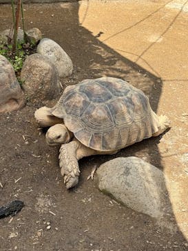 竹島水族館に投稿された画像（2025/5/4）