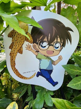 サンシャイン水族館に投稿された画像（2025/5/4）