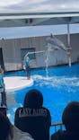 上越市立水族博物館 うみがたりに投稿された画像（2025/5/5）