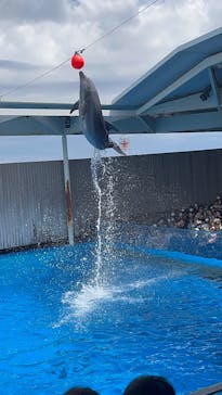 上越市立水族博物館 うみがたりに投稿された画像（2025/5/4）