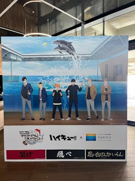 上越市立水族博物館 うみがたりに投稿された画像（2025/5/4）