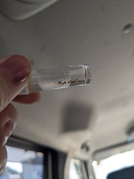 土肥金山に投稿された画像（2025/5/4）