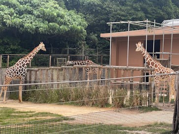 沖縄こどもの国に投稿された画像（2025/5/4）