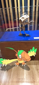 福井県立恐竜博物館に投稿された画像（2025/5/4）