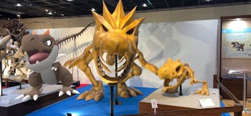 福井県立恐竜博物館に投稿された画像（2025/5/4）