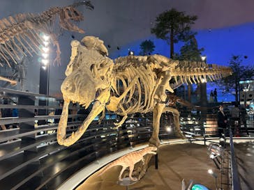 福井県立恐竜博物館に投稿された画像（2025/5/4）