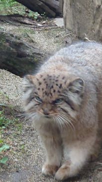 那須どうぶつ王国に投稿された画像（2025/5/4）