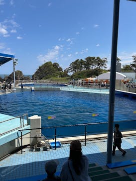 越前松島水族館に投稿された画像（2025/5/4）