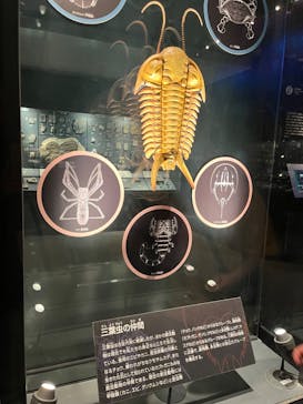 国立科学博物館に投稿された画像（2025/5/4）