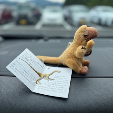 福井県立恐竜博物館に投稿された画像（2025/5/4）