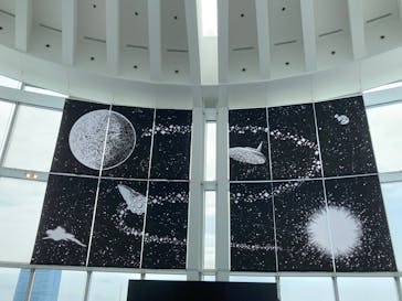 手塚治虫「火の鳥」展－火の鳥は、エントロピー増大と抗う動的平衡＝宇宙生命の象徴－に投稿された画像（2025/5/4）