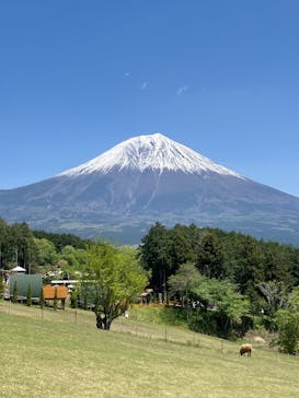 まかいの牧場に投稿された画像（2025/5/4）