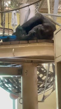 名古屋市東山動植物園に投稿された画像（2025/5/4）