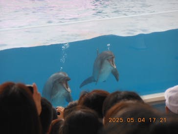 沖縄美ら海水族館に投稿された画像（2025/5/4）