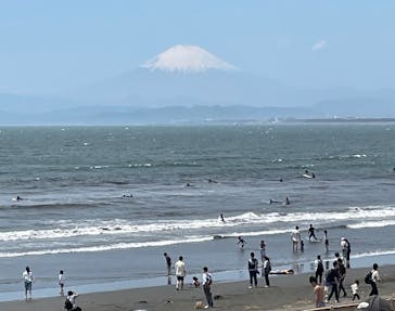 新江ノ島水族館に投稿された画像（2025/5/4）
