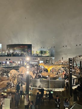 福井県立恐竜博物館に投稿された画像（2025/5/4）