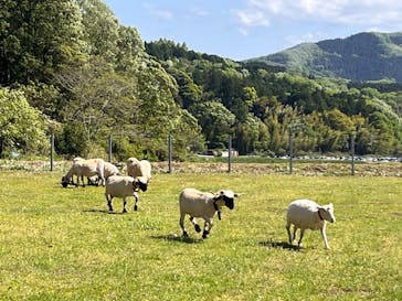 EnglishGardenローザンベリー多和田に投稿された画像（2025/5/4）