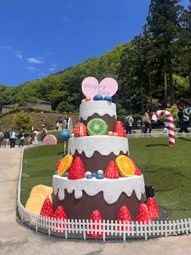 EnglishGardenローザンベリー多和田に投稿された画像（2025/5/4）