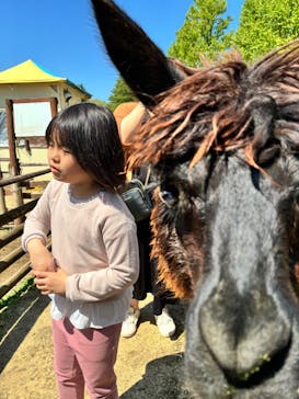 那須高原りんどう湖ファミリー牧場に投稿された画像（2025/5/4）