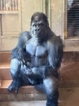 名古屋市東山動植物園に投稿された画像（2025/5/4）