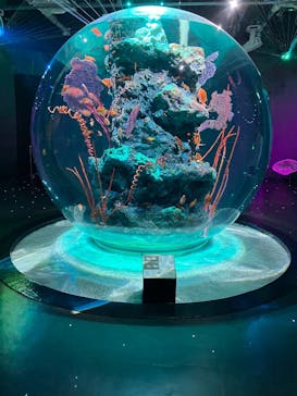 AQUARIUM × ART　atoaに投稿された画像（2025/5/4）