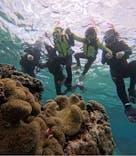 オースリーシュノーケル宮古島に投稿された画像（2025/5/5）