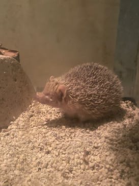 天王寺動物園に投稿された画像（2025/5/4）