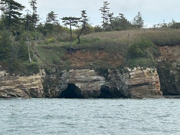 東尋坊観光遊覧船株式会社に投稿された画像（2025/5/4）