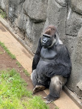 千葉市動物公園に投稿された画像（2025/5/4）