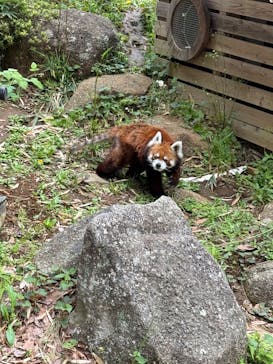 千葉市動物公園に投稿された画像（2025/5/4）