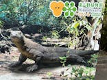 名古屋市東山動植物園に投稿された画像（2025/5/5）