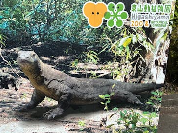 名古屋市東山動植物園に投稿された画像（2025/5/4）