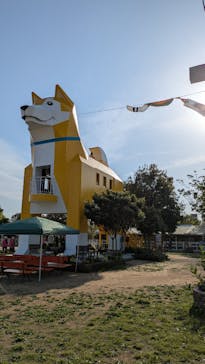 つくばわんわんランドに投稿された画像（2025/5/4）