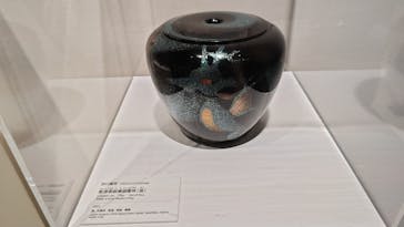 ポケモン×工芸展－美とわざの大発見－に投稿された画像（2025/5/4）