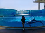 新江ノ島水族館に投稿された画像（2025/5/5）