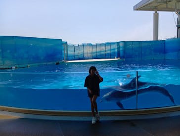 新江ノ島水族館に投稿された画像（2025/5/4）