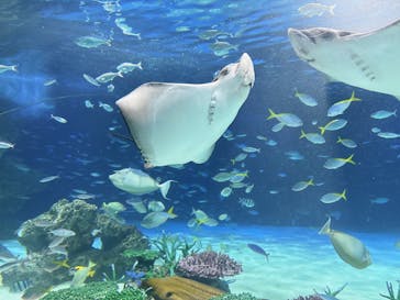 サンシャイン水族館に投稿された画像（2025/5/4）