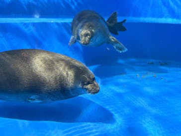 サンシャイン水族館に投稿された画像（2025/5/4）