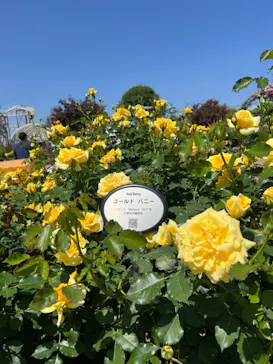 ひらかたパークに投稿された画像（2025/5/5）